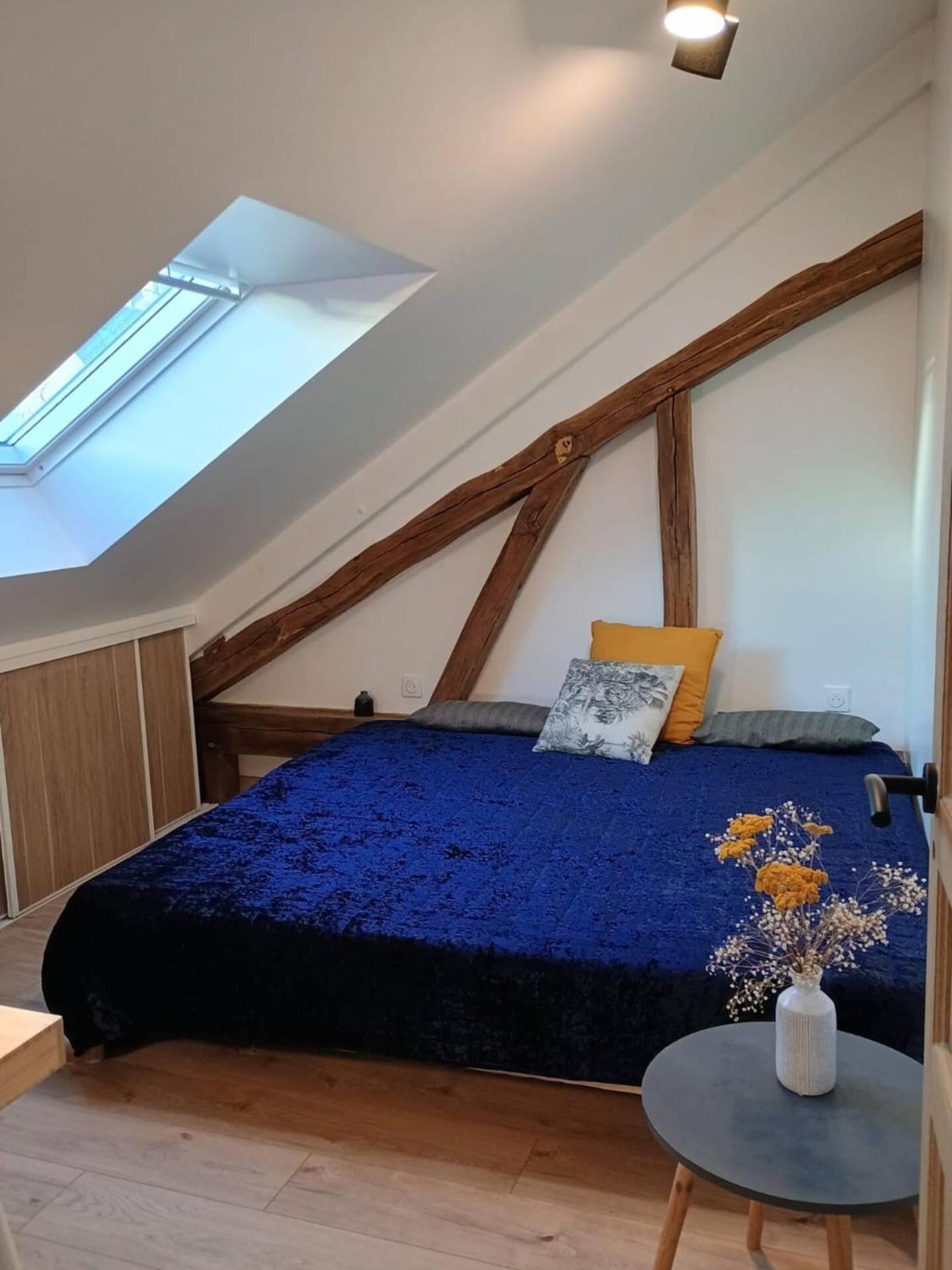 Domaine De Charme Au Coeur D'Orleans Classe 3 Etoiles - Bords De Loire - 21 Couchages Avec Parkings Prives Ngoại thất bức ảnh